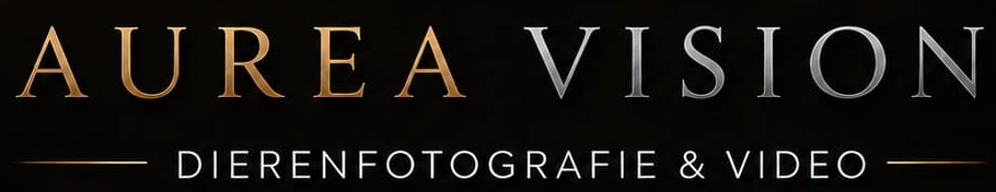 AUREA VISION — dierenfotografie & video